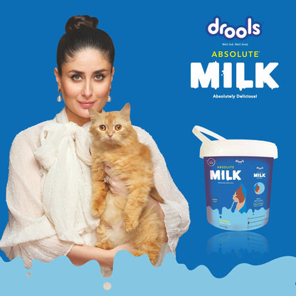 Drools Absolute Kitten Milk 500g - Pet Central