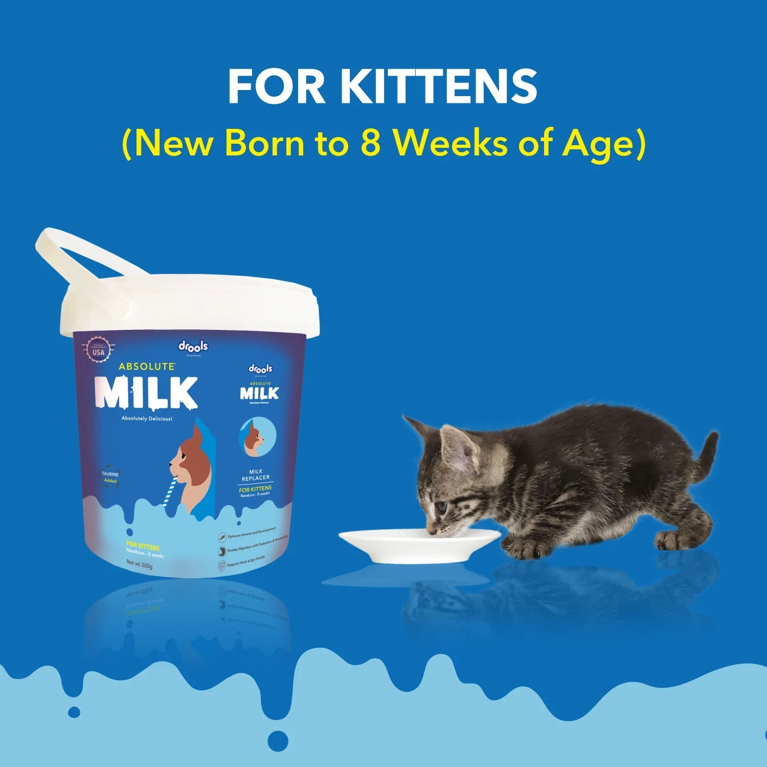 Drools Absolute Kitten Milk 500g Pet Central