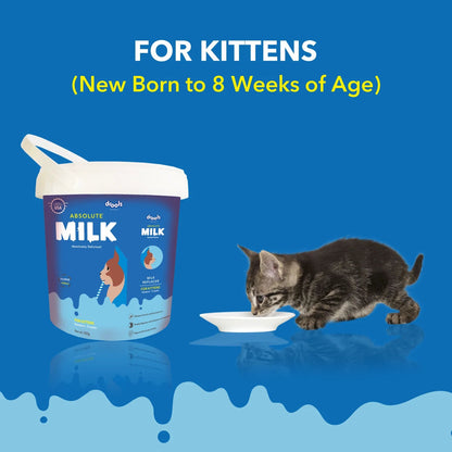 Drools Absolute Kitten Milk 500g - Pet Central