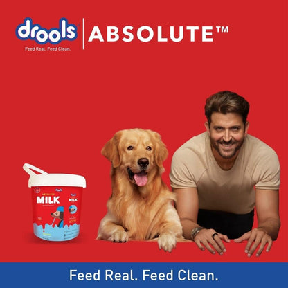 Drools Absolute Milk 500g - Pet Central