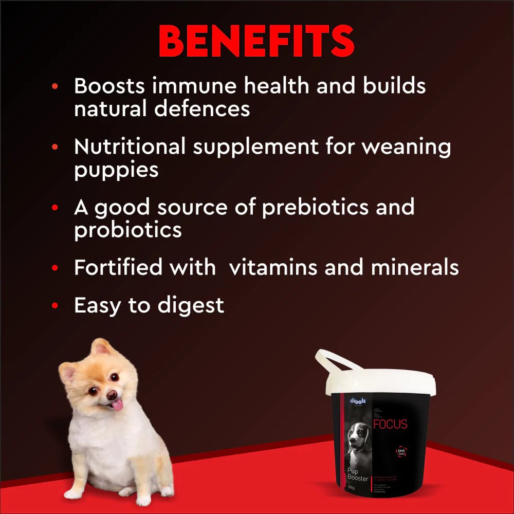 Focus Pup Booster 300gm - Pet Central