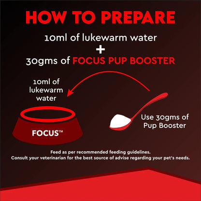 Focus Pup Booster 300gm - Pet Central