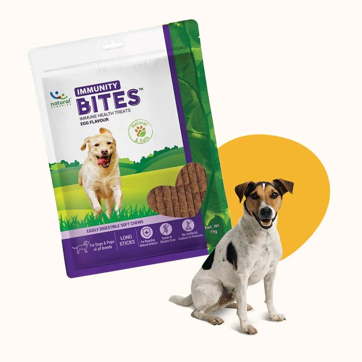IMMUNITY BITES -For Dogs - Pet Central