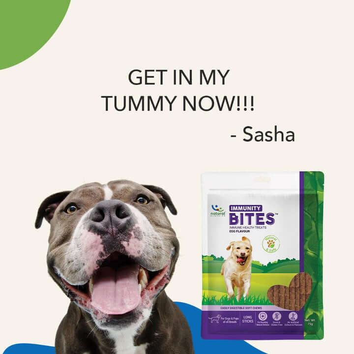 IMMUNITY BITES -For Dogs - Pet Central