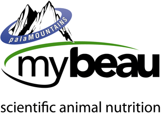 My Beau Vitamin & Mineral Supplement For Dog 300 mlml - Pet Central