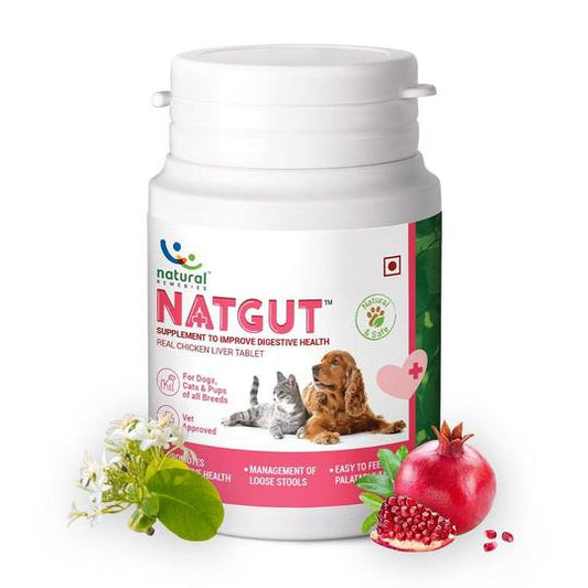 Natgut Digestive supplement for dogs & cats, 24 tabs - Pet Central