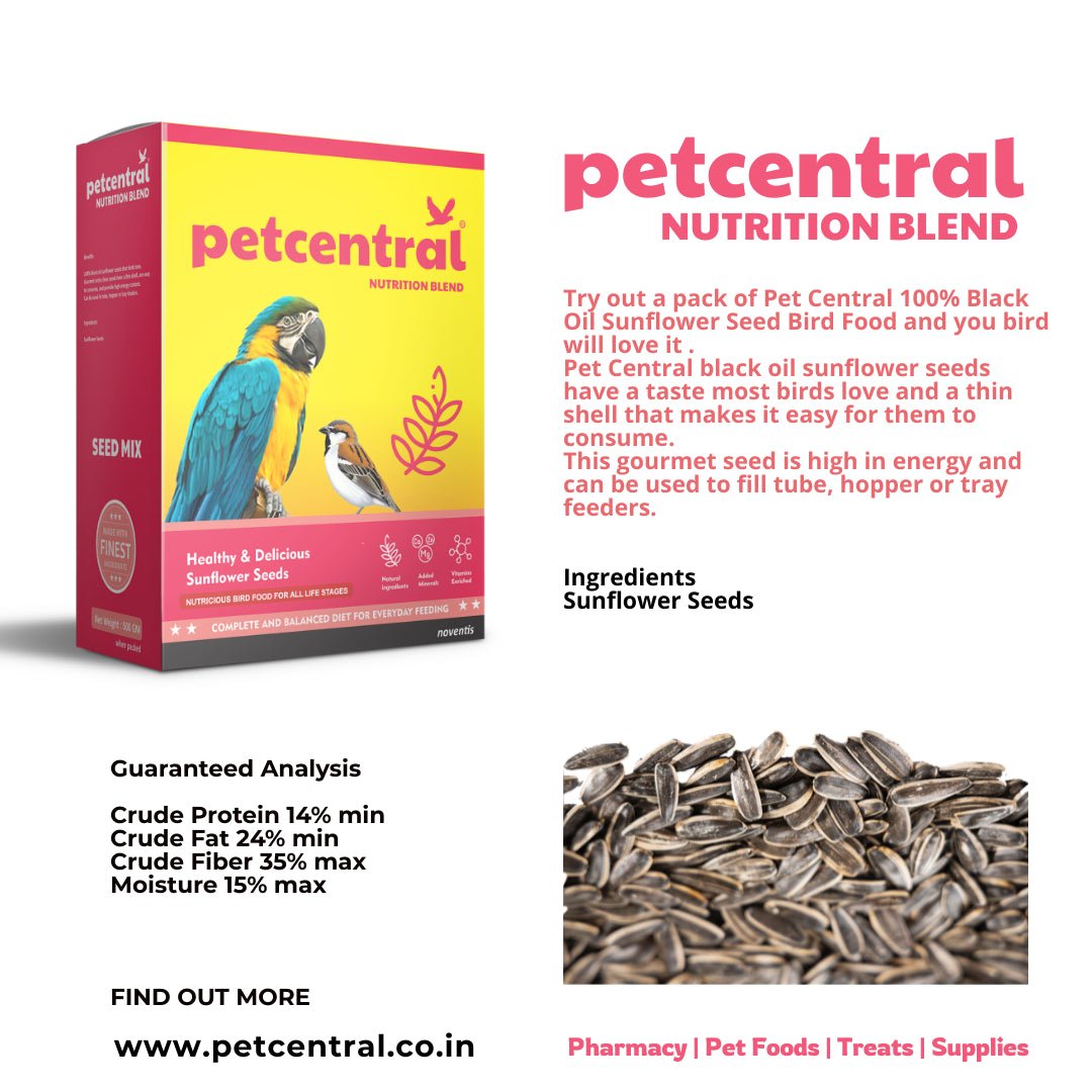 Petcentral Sunflower Seeds for Birds & Parrots - Pet Central