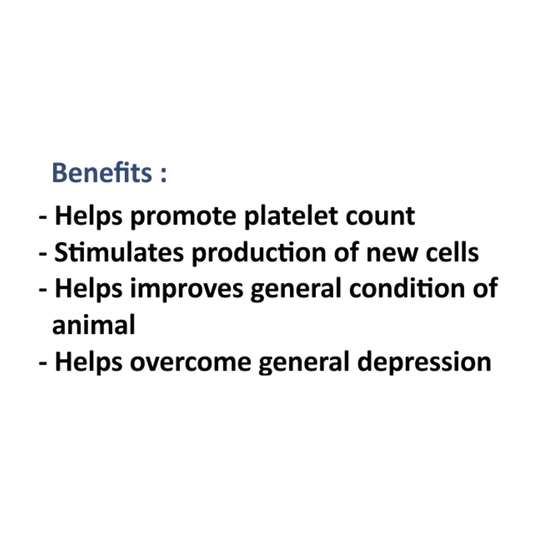 Platohance Syrup 200 ml Pet Central