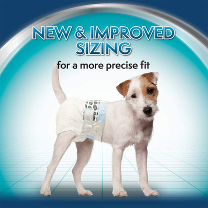 Simple Solution disposable diapers (Medium, 12 pack) - Pet Central