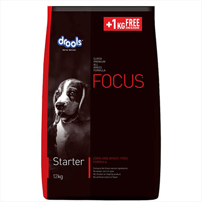 Focus Starter - Pet Central