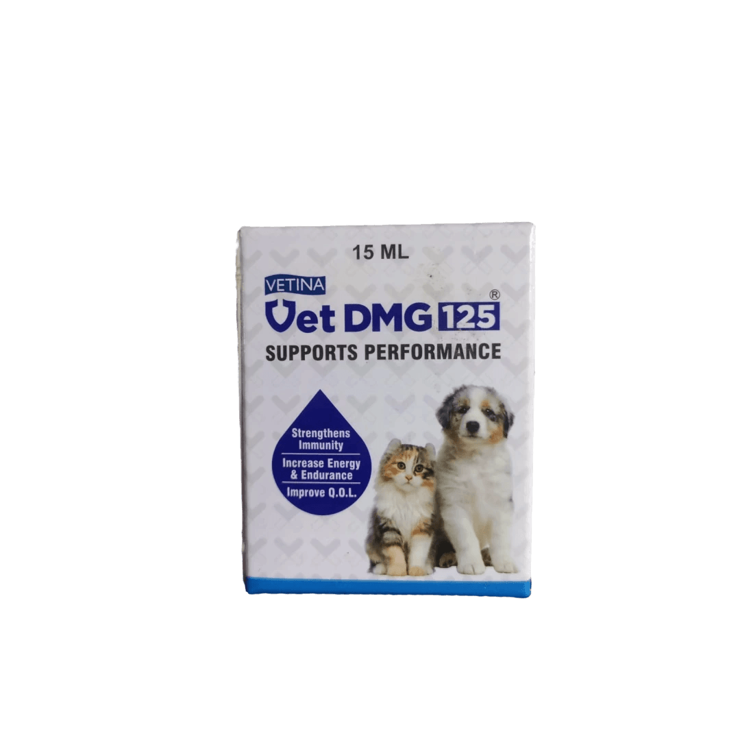 Vet DMG 125 15 ML - Pet Central